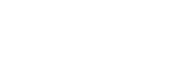 Vyper White Logo 01